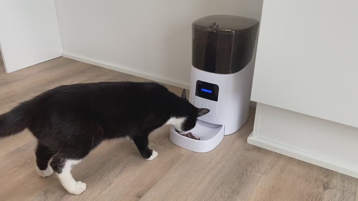 6L Automatic Pet Feeder